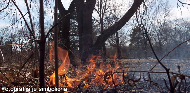 gozni_pozar02